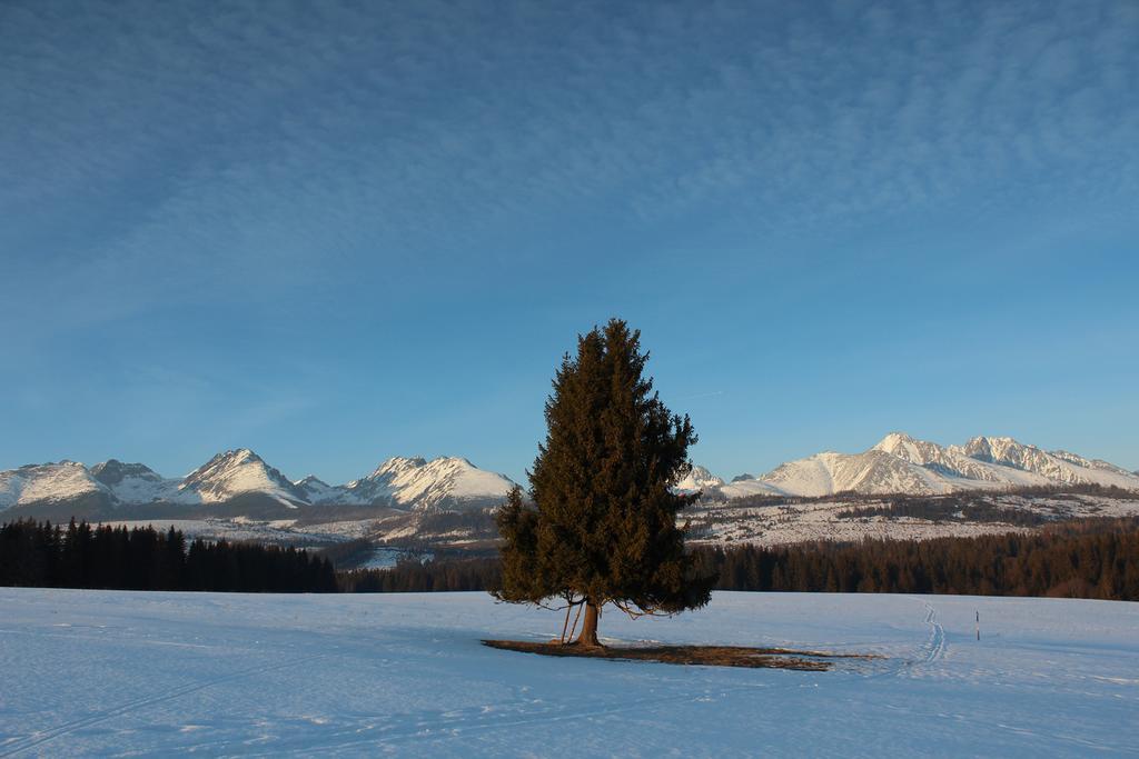 Chaty Tatra Tatranska Strba Exterior photo